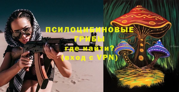 ГАЛЛЮЦИНОГЕННЫЕ ГРИБЫ Балабаново