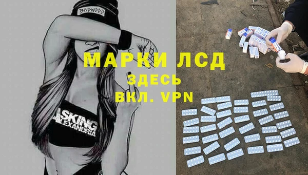 кокс Аркадак