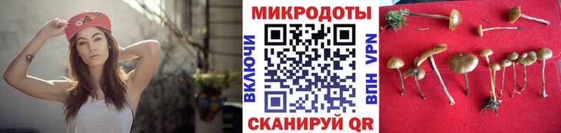 Галлюциногенные грибы Magic Shrooms  Купить  Белогорск 